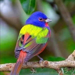 Meet your Posher, Mo